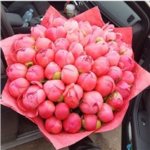 Букет из 35 пионов