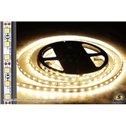  Sneha 5050-60L-IP33 WW SMD WZQH светодиодная лента