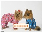 Комбинезон Тузик утепленный "Скотч-терьер" кобель