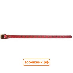 Ошейник Аркон красный 20мм универсальный (32-44см)