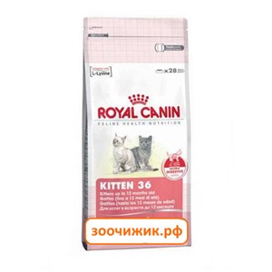Сухой корм Royal Canin Kitten для котят (от 4 до 12 месяцев) (400 гр)