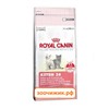 Сухой корм Royal Canin Kitten для котят (от 4 до 12 месяцев) (400 гр)