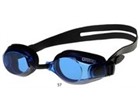 Arena Zoom X-Fit