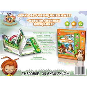 Книга 80056EHR У тетушки совы на бат.