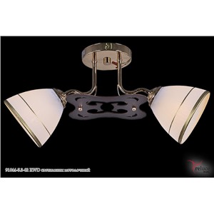 Reluce 91044-5.3-02 RWD светильник потолочный