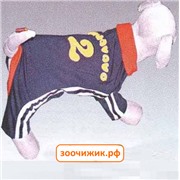 Костюм Triol FFA051 спортивный, р.10 хлопок