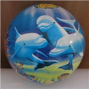 Мяч 2103 23см. Дельфины