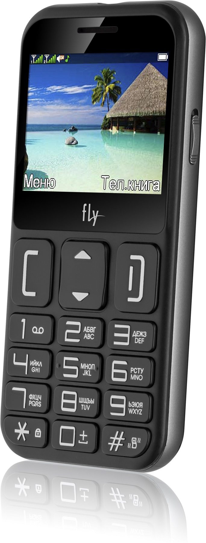 Сотовый телефон FLY Ezzy 9 Black