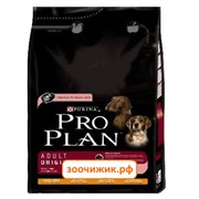 Сухой корм Pro Plan для собак (для взрослых) курица+рис (3 кг)