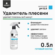 Prosept DT FUNGI, 500мл, на основе , гипохлорит натрия менее 5%. Удалитель плесени, грибка, мха, водорослей, жира, слизистых, мыльных и других глубоко въевшихся загрязнений.
