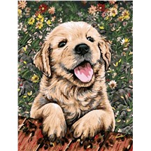 Картина для рисования по номерам "Игривый щенок" арт. GX 5607 m