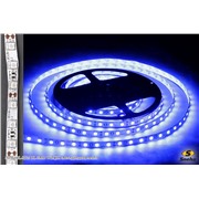  Sneha 5050-60L-IP33 BL SMD WZQH светодиодная лента
