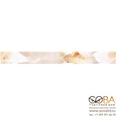 Бордюр Damasc  B400D294 40х4,5 купить по лучшей цене в интернет магазине стильных обоев Сова ТД. Доставка по Москве, МО и всей России