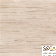 Керамогранит Botanica глаз.  коричневый (15957) 42x42 купить по лучшей цене в интернет магазине стильных обоев Сова ТД. Доставка по Москве, МО и всей России