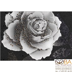 Декор Монро 5Т  тип 1 27,5х40 купить по лучшей цене в интернет магазине стильных обоев Сова ТД. Доставка по Москве, МО и всей России