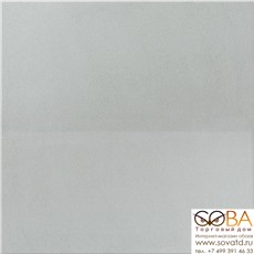 Керамогранит UF002PR (светло-серый, моноколор)  60х60 Полированный Рект. купить по лучшей цене в интернет магазине стильных обоев Сова ТД. Доставка по Москве, МО и всей России