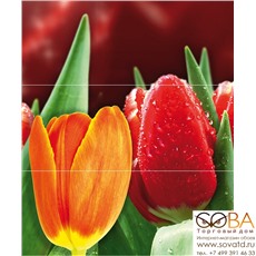 Панно Syntia Tulip А  (из 3пл) 60х50 купить по лучшей цене в интернет магазине стильных обоев Сова ТД. Доставка по Москве, МО и всей России