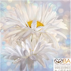 Панно Muza  (C-MU2T053DT) 60х60 купить по лучшей цене в интернет магазине стильных обоев Сова ТД. Доставка по Москве, МО и всей России