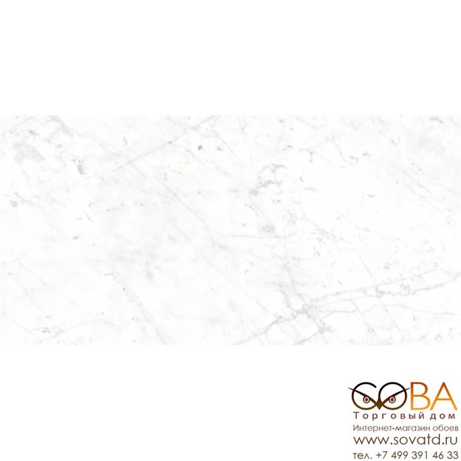 Керамогранит Neodom Supreme Carrara Bianco Polished (60x120)см CV20187 (Индия) купить по лучшей цене в интернет магазине стильных обоев Сова ТД. Доставка по Москве, МО и всей России