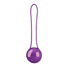 Шарики Pleasure Ball Deluxe Purple SH-SHT100DPUR